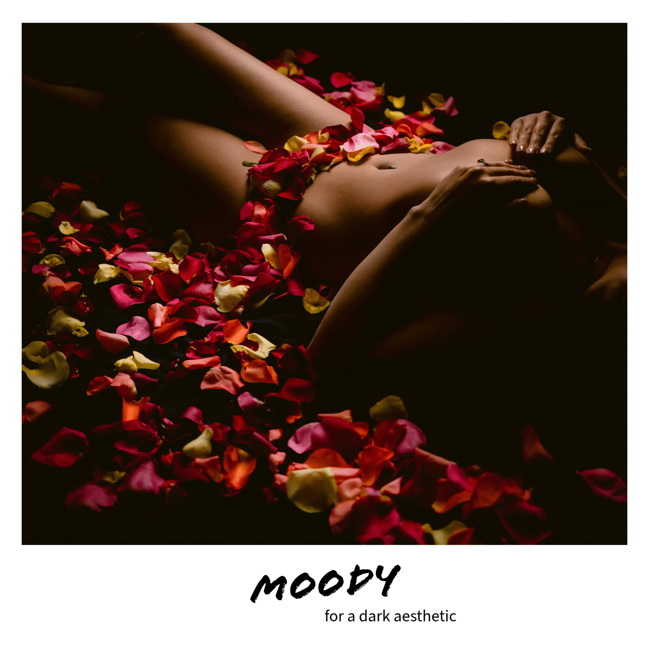 Moody colorful floral boudoir session with petals